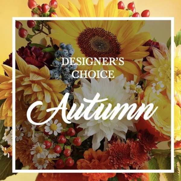 Designer’s Choice - Autumn