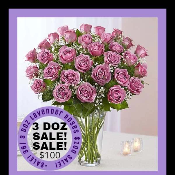 SALE LAVENDER ROSES 36