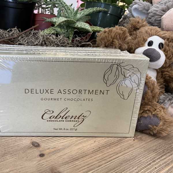Box of gourmet chocolates beside a plush teddy bear and potted plants