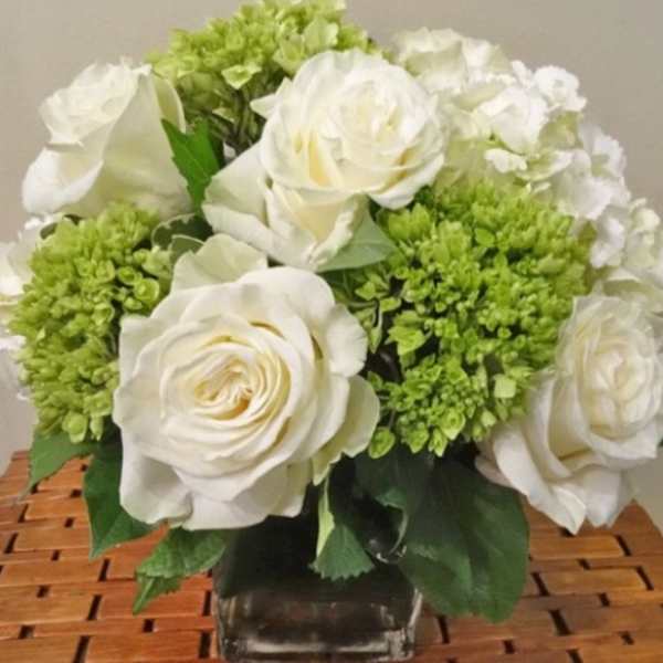 Green and White