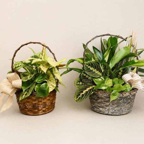 Mixed Basket Planter