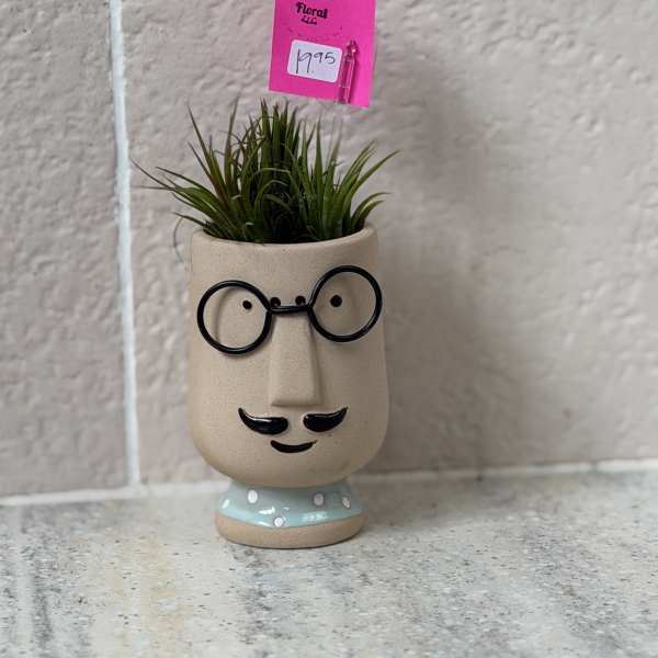 Fred the Desk Plant