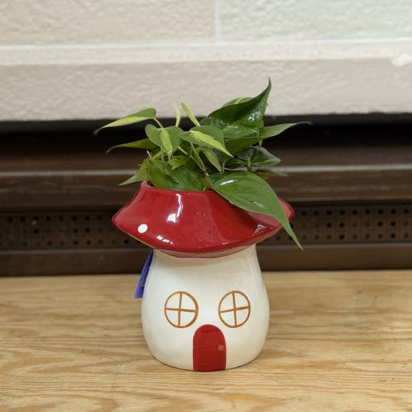 Small potted plant in a red-and-white mushroom-shaped ceramic planter