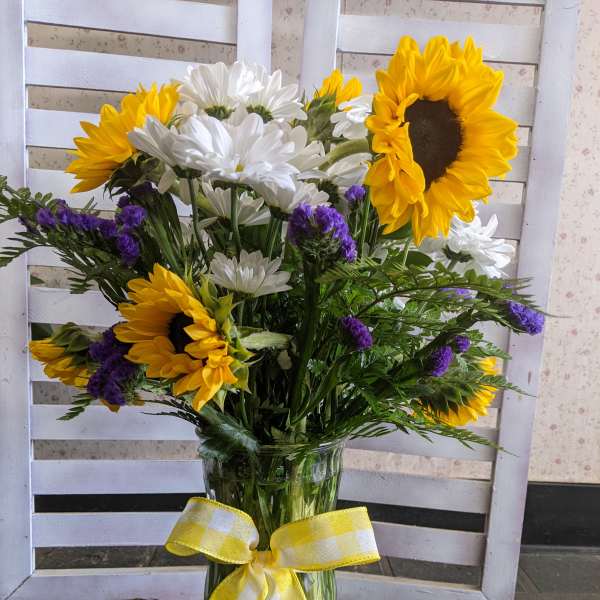Sunshine on Daisies