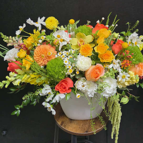 Summer Joy