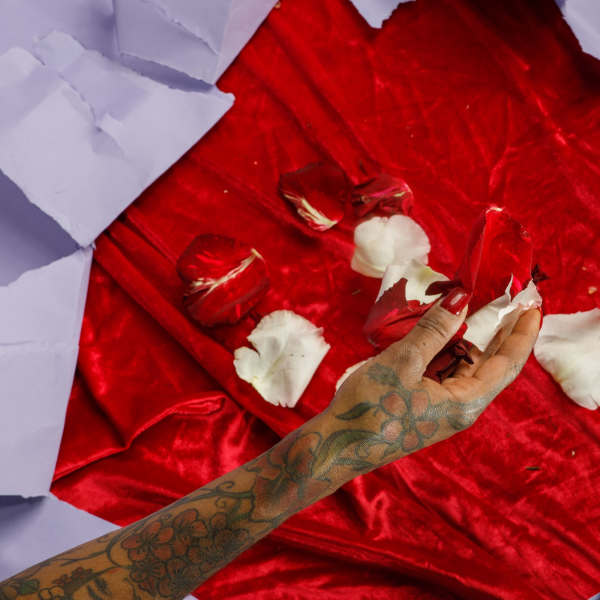 Loose Rose Petals