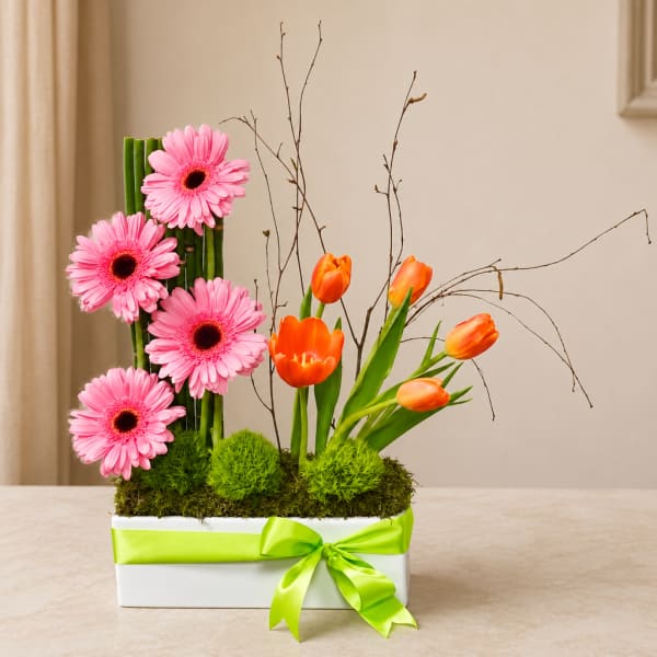 Simply Pink – Pink Gerbera Daisies, Orange Tulips & Moss Trough Planter