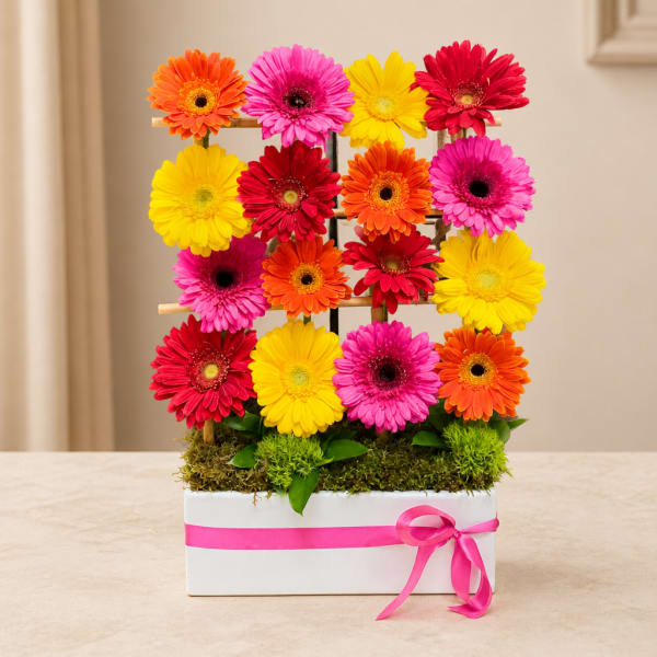 Colorful gerbera daisy arrangement in a white box with a pink ribbon