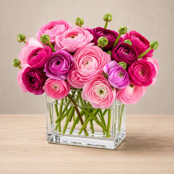 Pink and magenta ranunculus in a clear glass vase
