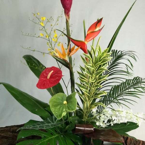 Tropical floral arrangement with red anthuriums and orange bird of paradise