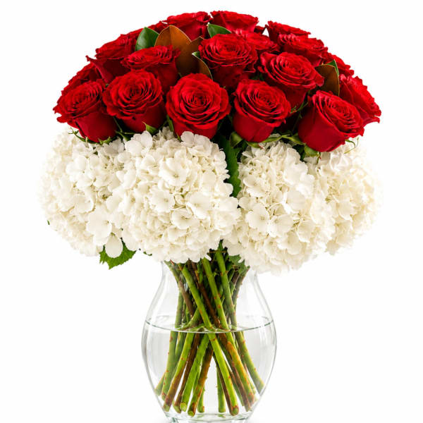 Red roses and white hydrangeas in a clear glass vase