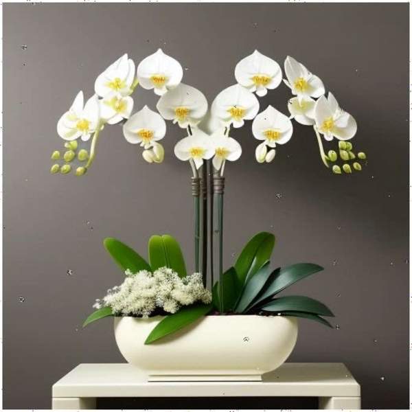 Pure Elegance White Orchid Garden
