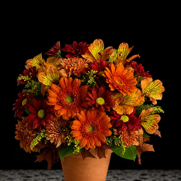 Harvest Colors