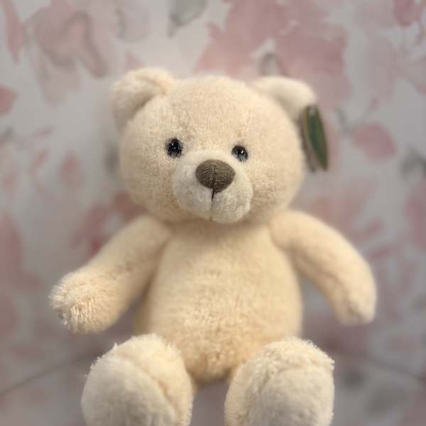 Teddy Bear