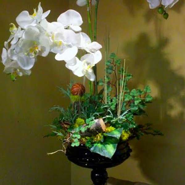 White orchid arrangement in a black pedestal vase