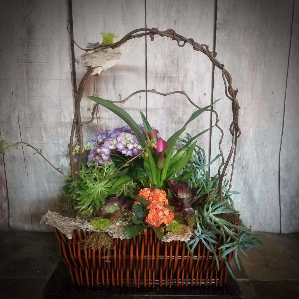 Mixed floral basket with succulents and purple blooms in a wicker container