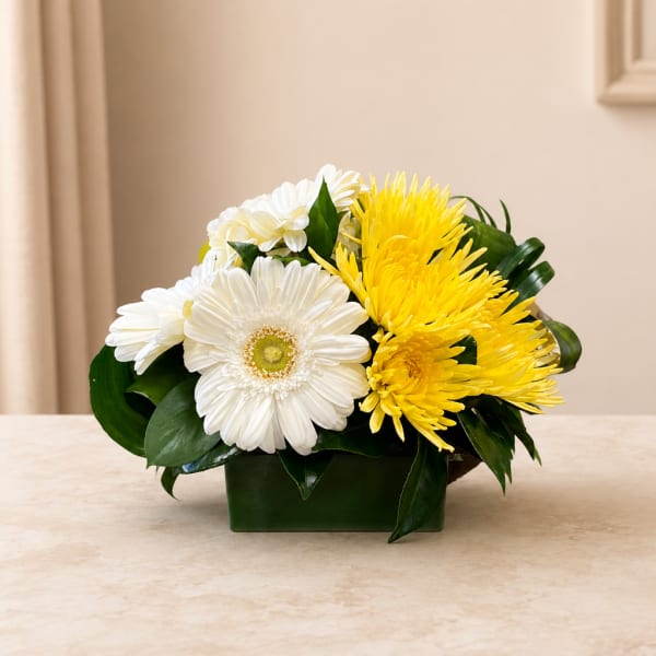 White gerbera daisies and yellow chrysanthemums in a low green container