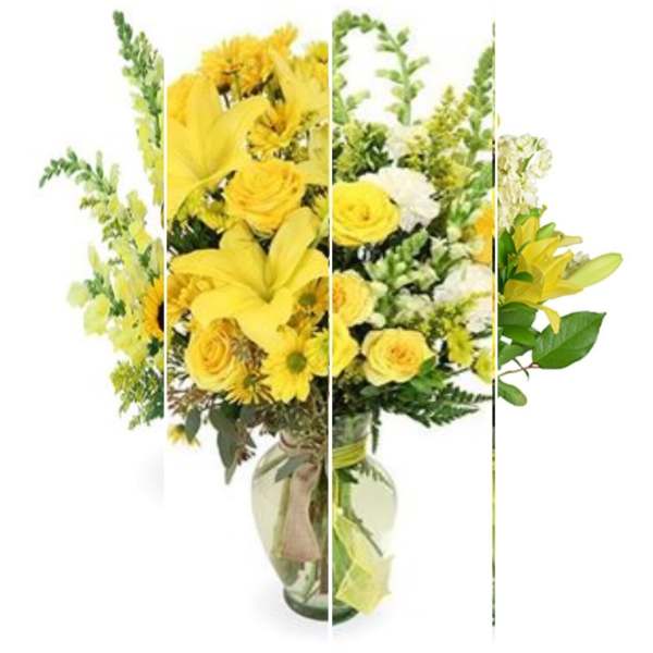 Designer's Choice: Yellow