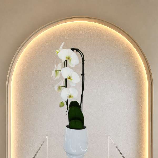 Orchid Stem Planter