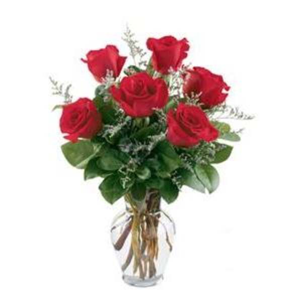 Six red roses with white filler flowers arranged in a clear glass vase