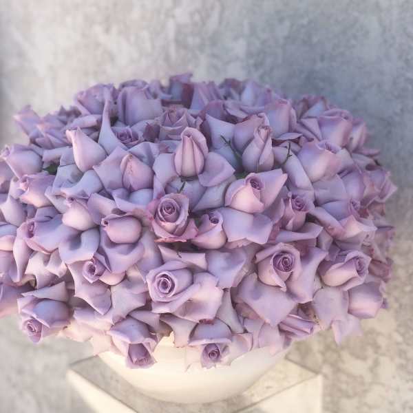 ocean song Roses