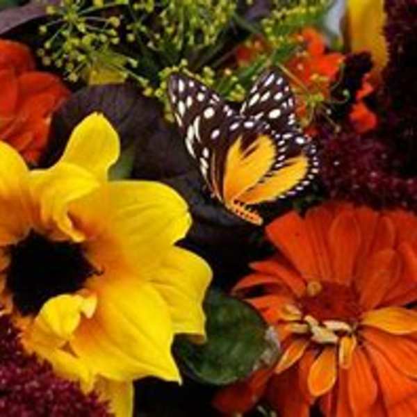 Designer's Choice Large Fall Vase Arrangement