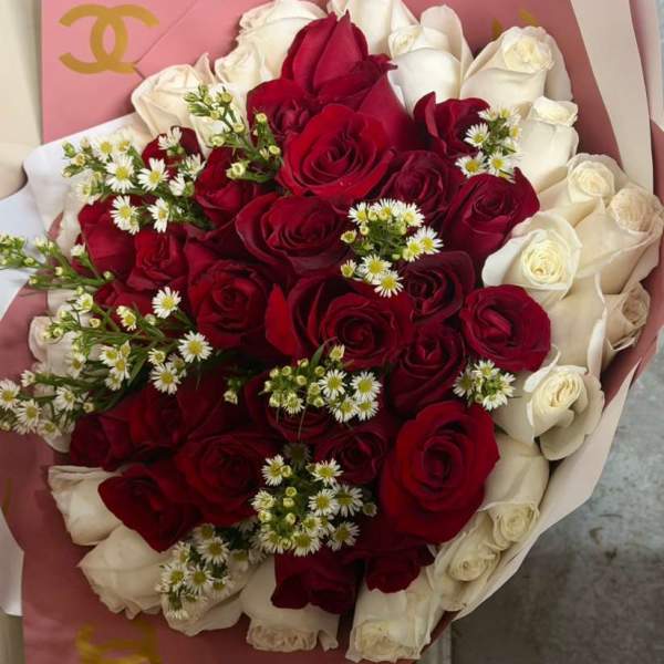 Bouquet of red and white roses wrapped in pink paper