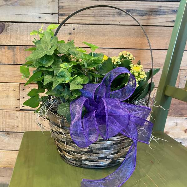 Basket planter with ivy, yellow flowers, and a purple ribbon
