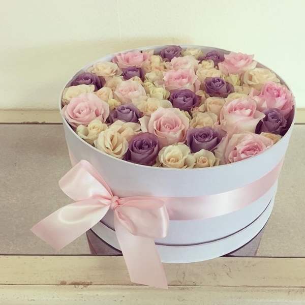 Colors of Spring Roses