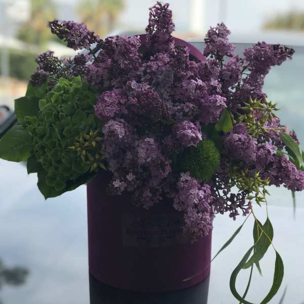 Purple lilac bouquet in a dark cylindrical box with green accents