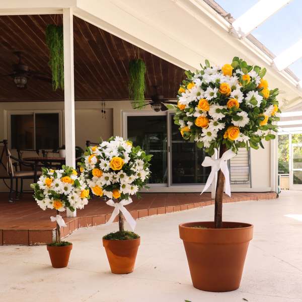 Three potted floral topiary arrangements with white daisies and yellow roses