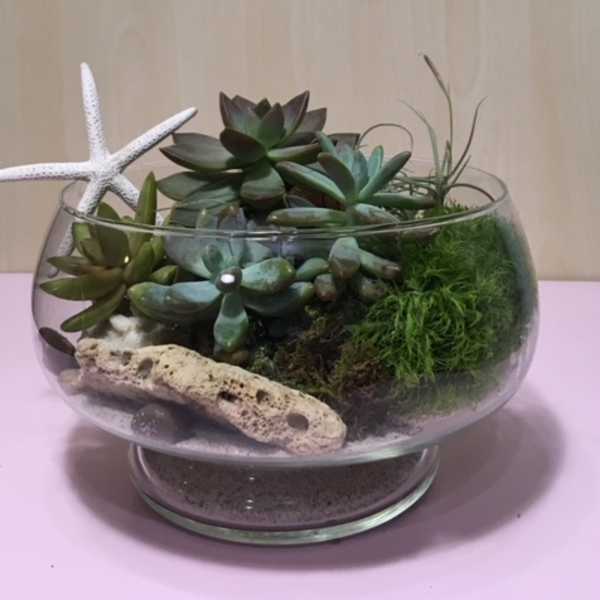 Sea Garden