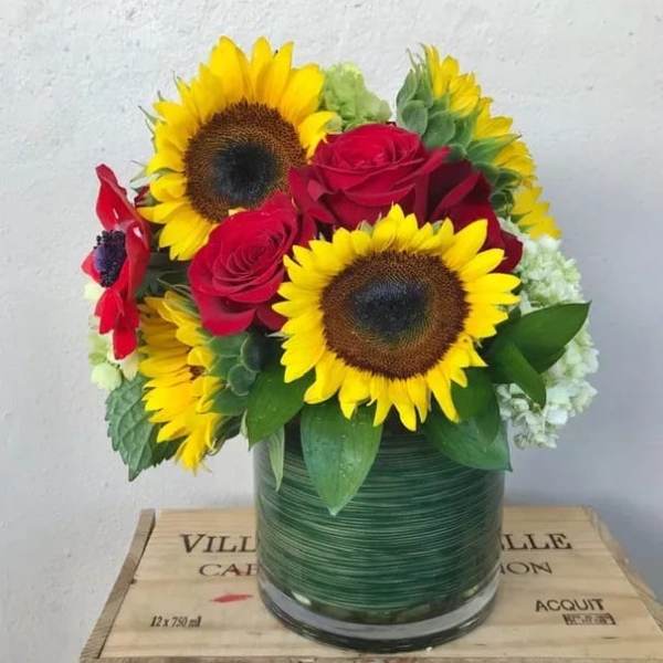 Sunflower Sunset