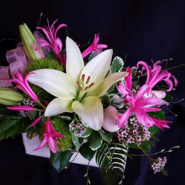 Sweet Box of Blooms