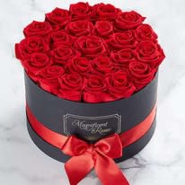 Love in a Box