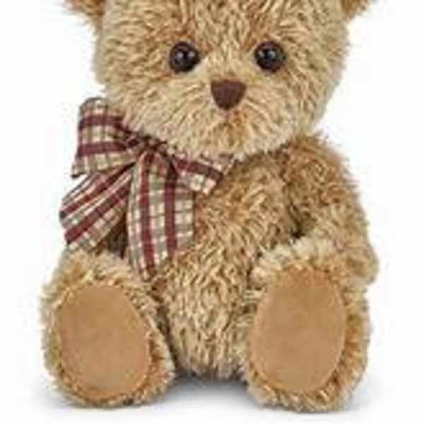 Plush Bear