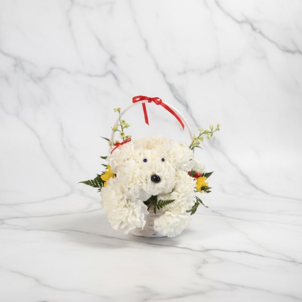 White flower basket arranged like a teddy bear with a red ribbon handle