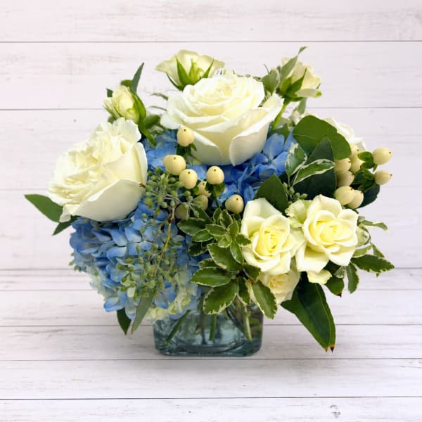White roses and blue hydrangeas arranged in a square glass vase