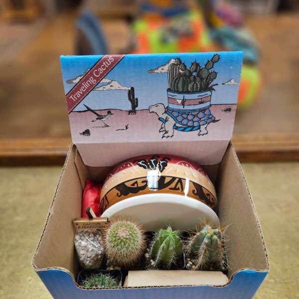 Traveling Cactus Kit