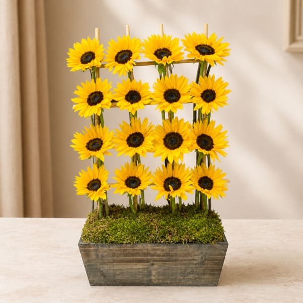Sunflower arrangement in a rectangular wooden planter