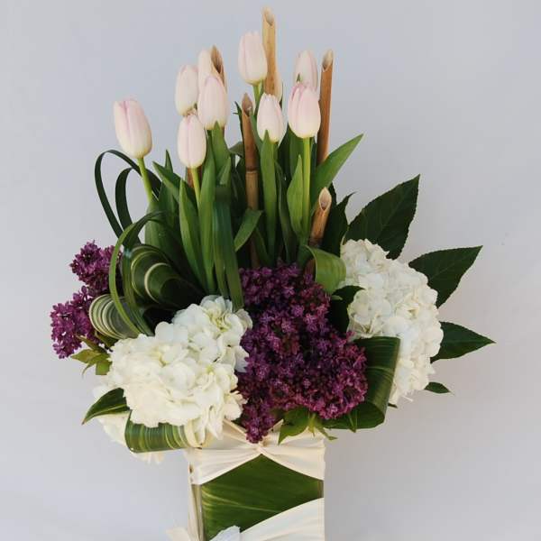 Mother Day Tulips