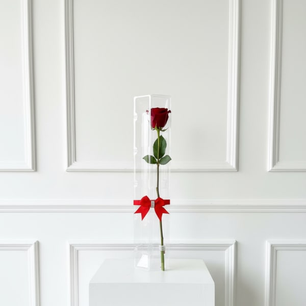 Single red rose in a clear tall box with a red ribbon