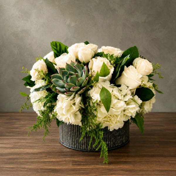 White roses and hydrangeas arranged with a succulent in a ribbed container