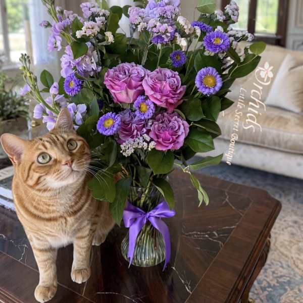 Purple bouquet in a glass vase beside an orange tabby cat