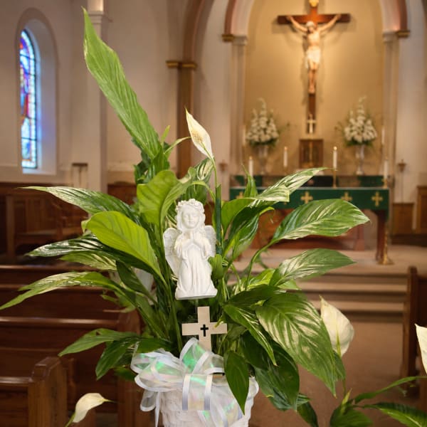 White peace lily plant in a basket with a ribbon and angel figurine