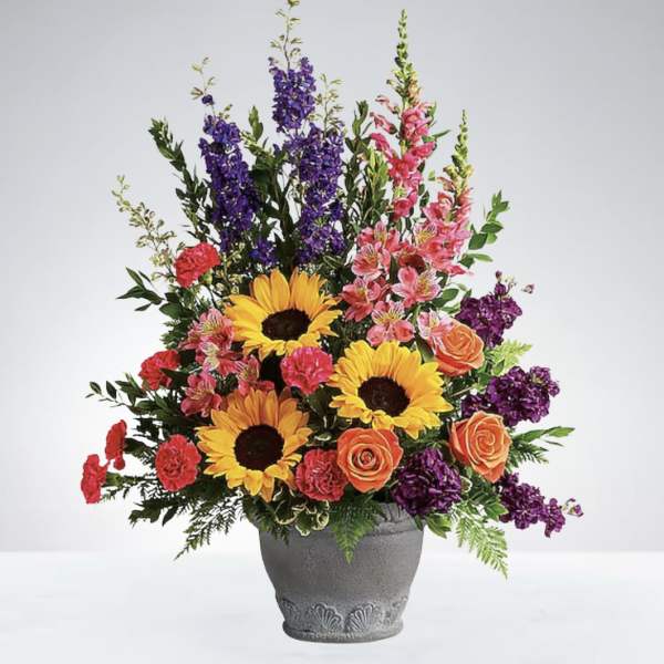 Colorburst Blooms