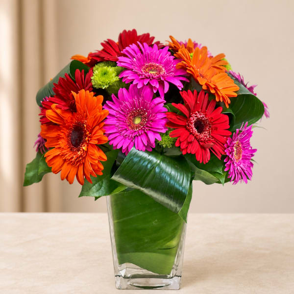 Colorful gerbera daisy bouquet in a clear glass vase
