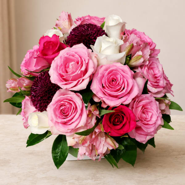 Pink and white rose bouquet with dark purple blooms