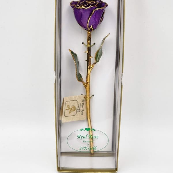 Preserved Purple 24KT Gold Rose