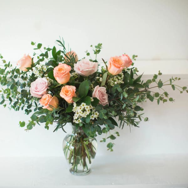Balboa Blush